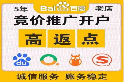 百度SEO推广公司案例分享：行业佼佼者经验